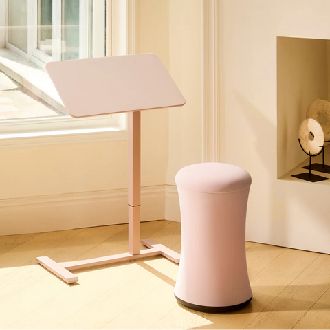 Anydesk Nest Pro 玩彩升降桌