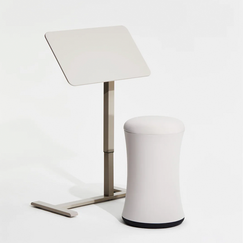 Anydesk Nest Pro 玩彩升降桌