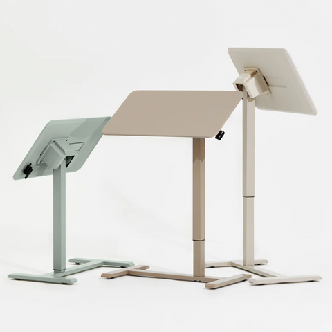 Anydesk Nest Pro 玩彩升降桌