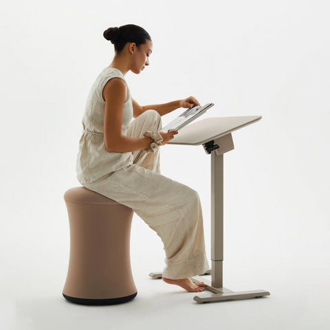 Anydesk Nest Pro 玩彩升降桌