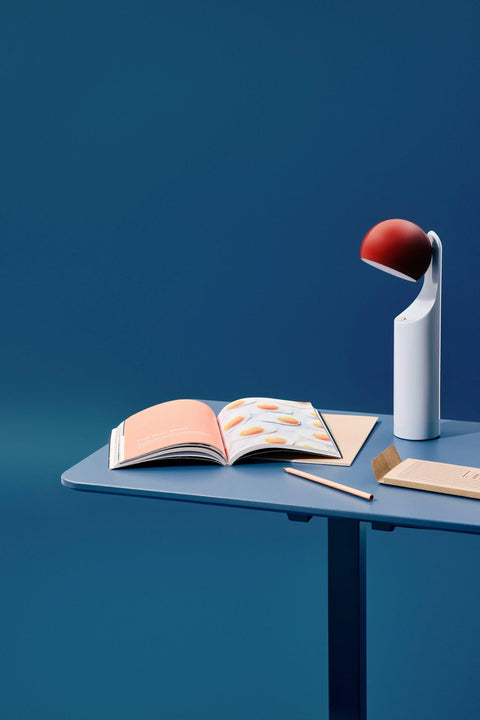 Anydesk Fold 玩彩升降桌