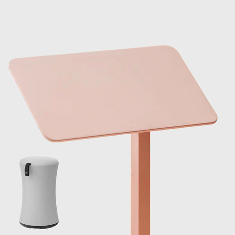 AnyDesk Nest Pro x BOBA 延伸律動辦公組