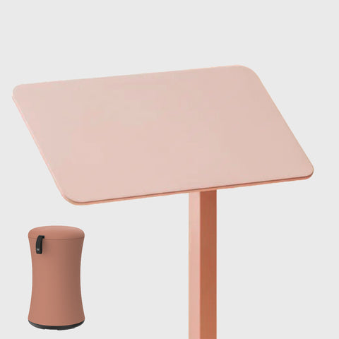AnyDesk Nest Pro x BOBA 延伸律動辦公組