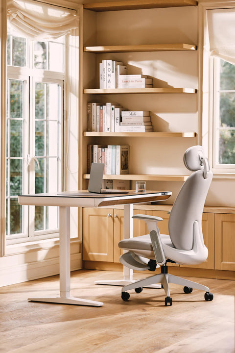 NAPA 人體工學辦公椅