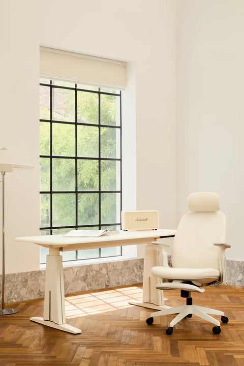 NAPA 人體工學辦公椅