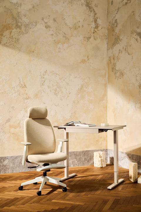 NAPA 人體工學辦公椅